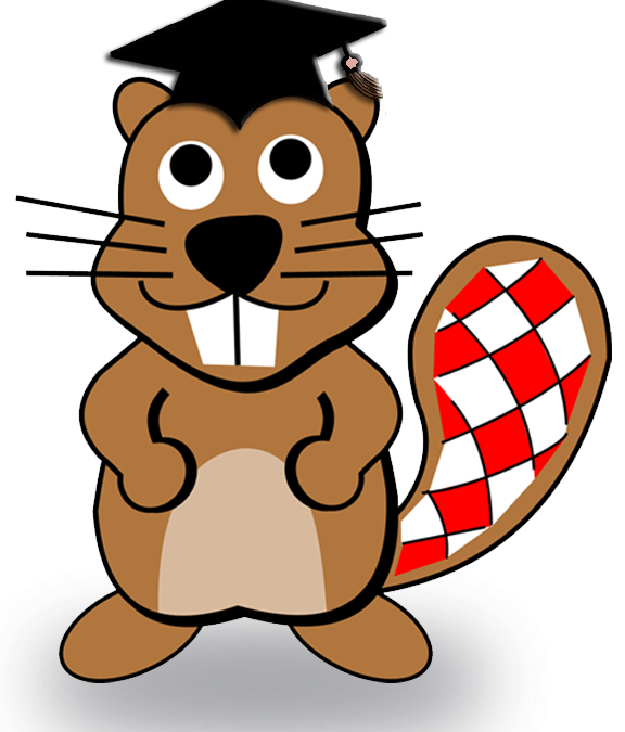 Rezultati natjecanja Dabar