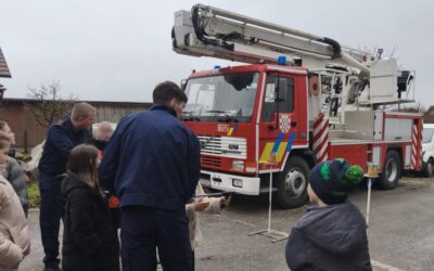 Mali vatrgoasci u DVD-u