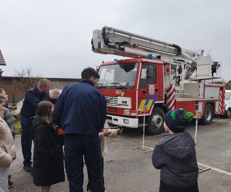 Mali vatrgoasci u DVD-u