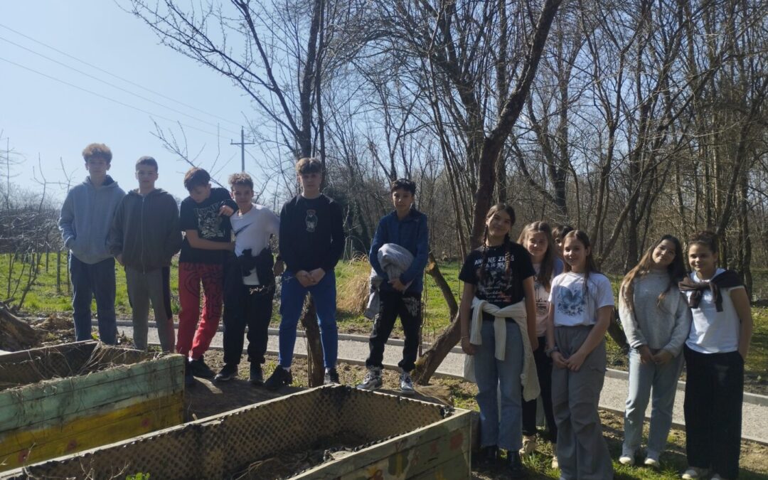 Sadnja crvenog luka u školskom vrtu