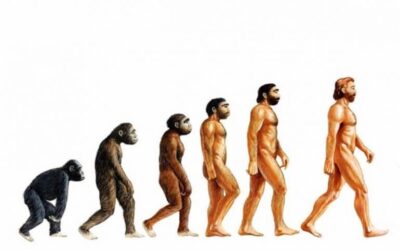 EVOLUCIJA